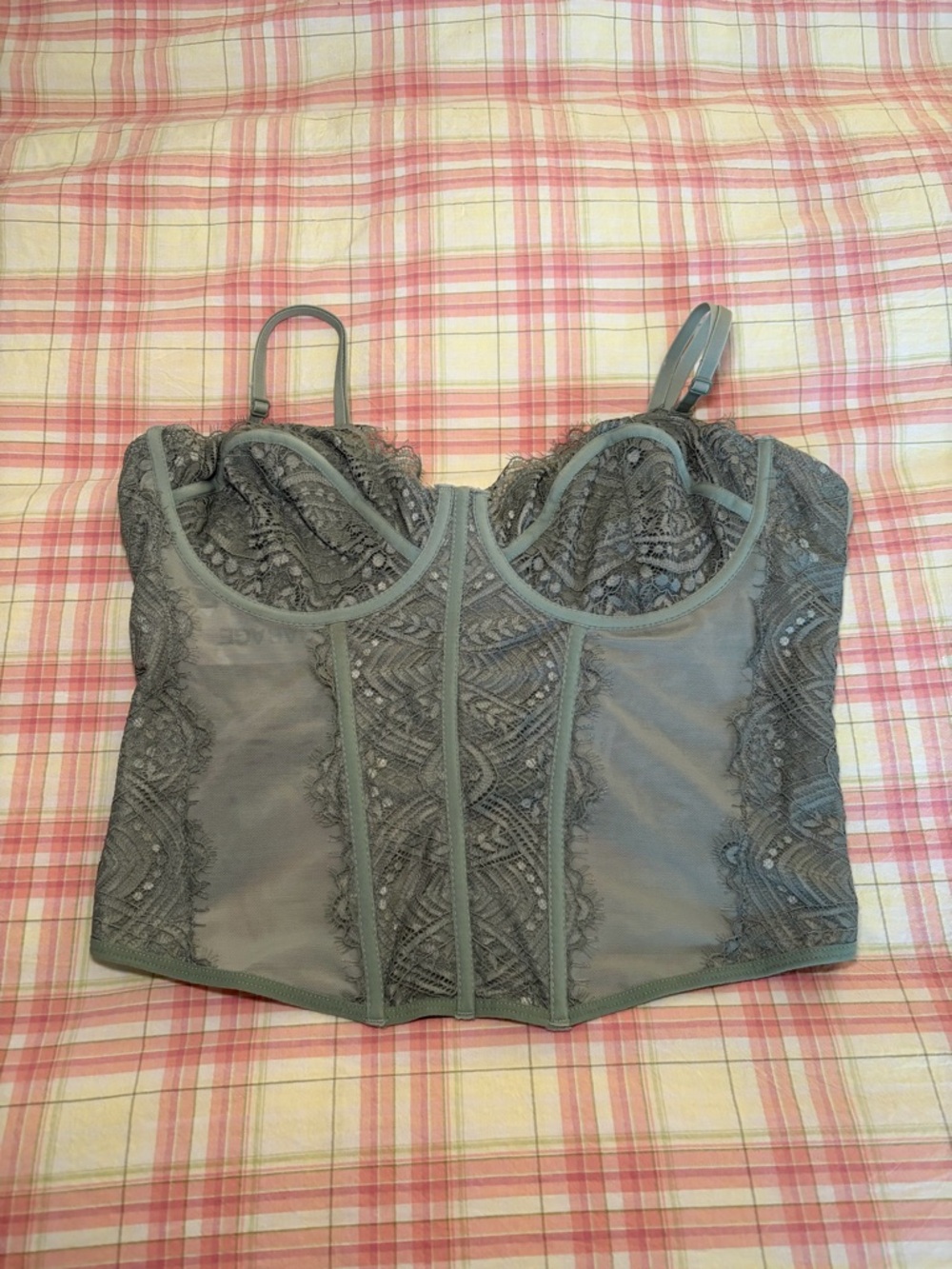 NWT - Garage Sage Green Corset Top